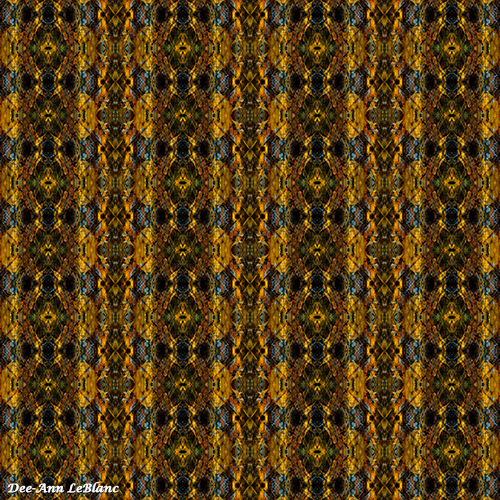 Kaleidescape by Dee-Ann LeBlanc before color shift