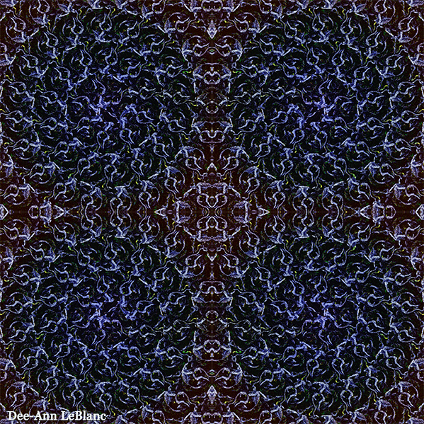Ascension Convergence by Dee-Ann LeBlanc